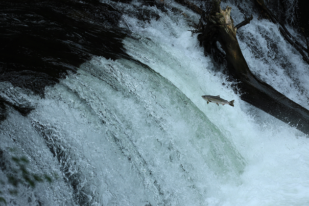 チャレンジ｜清里町 2021.02