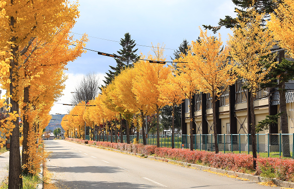 幸せのシンボル｜北見市内 2020.01