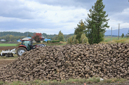 命を掘り出す｜美幌町 2025.12