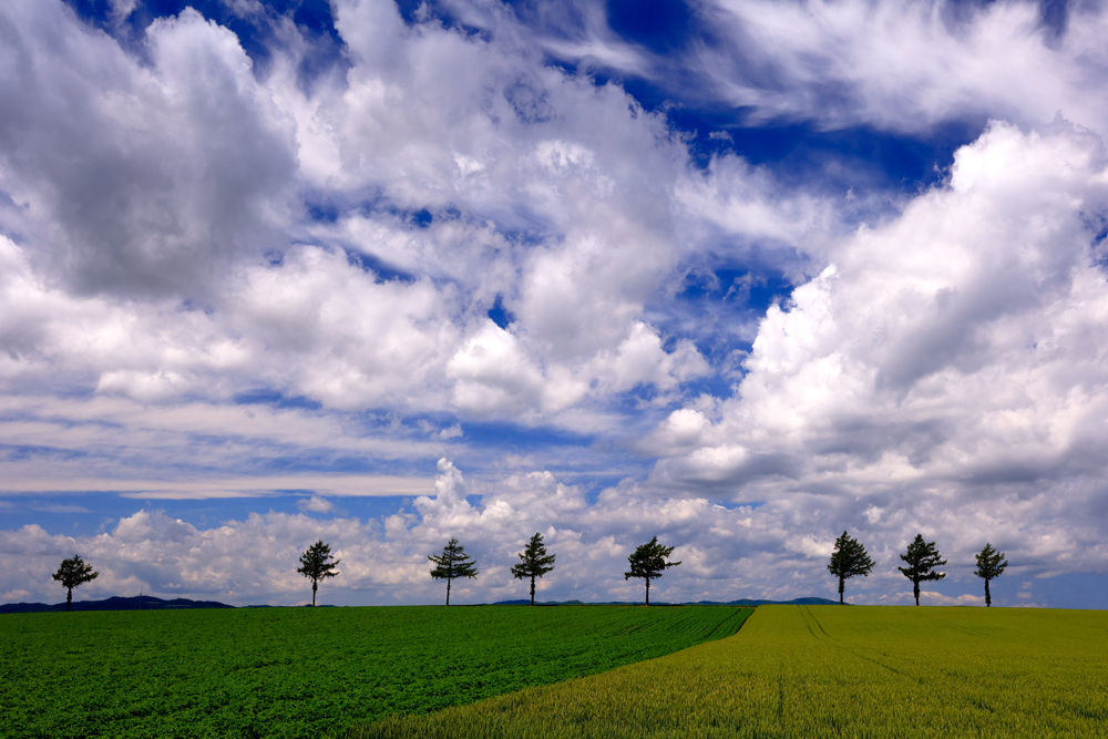 大空町メルヘンの丘